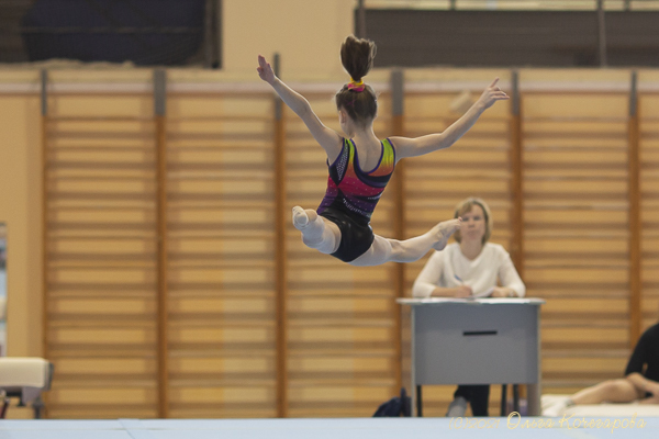 Спортивная гимнастика чебоксары